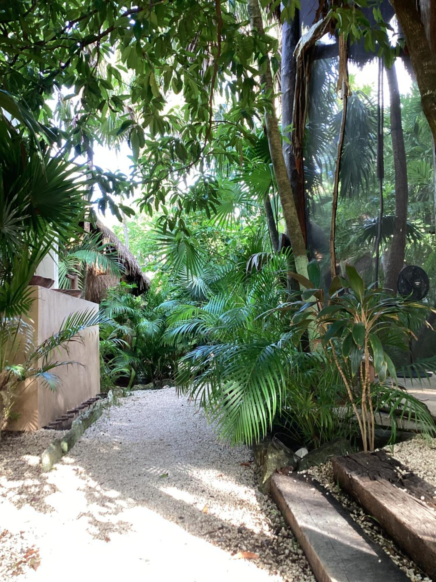 Yaxchen Tulum Cabanas & Cenote Exterior foto